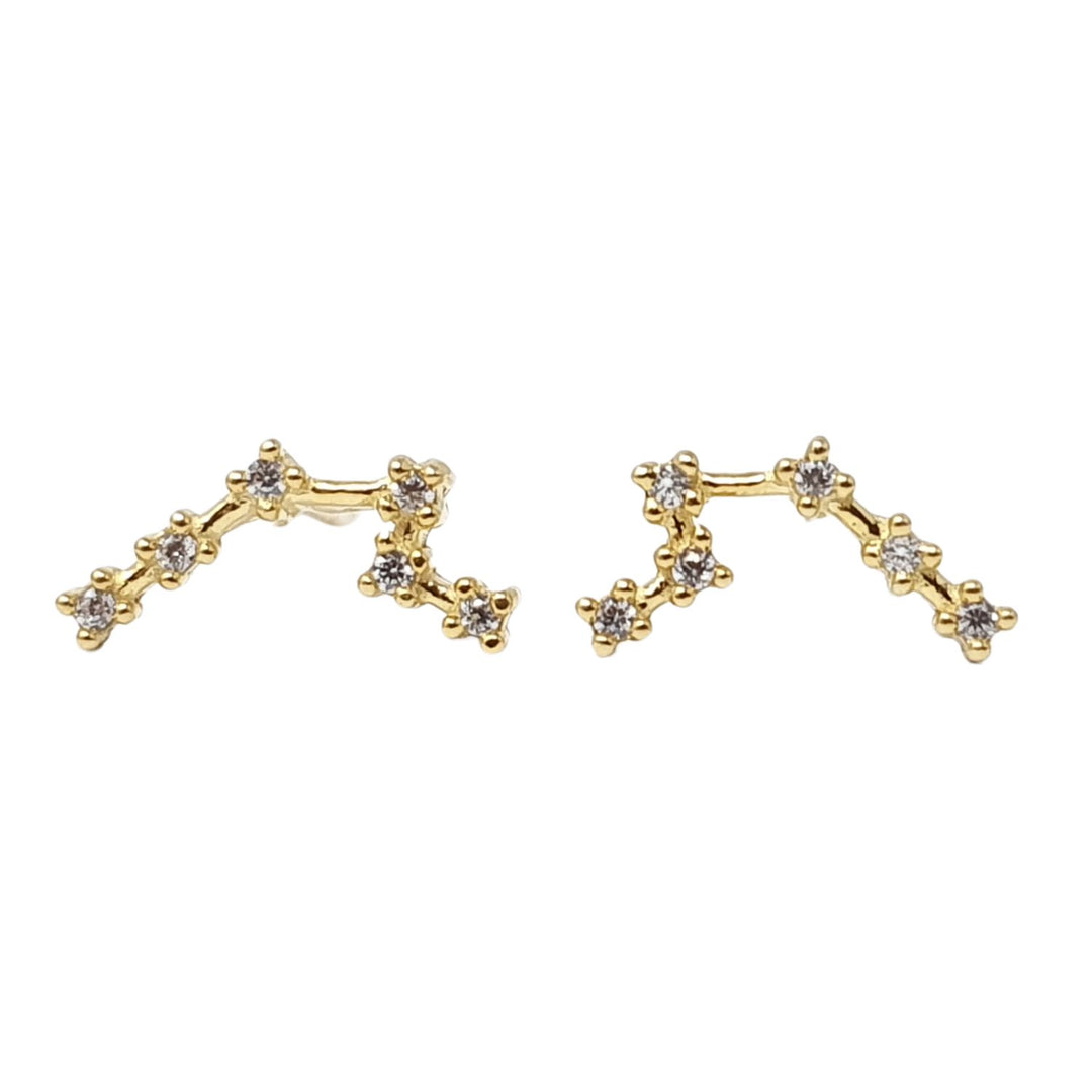 Aquarius Star Sign Constellation Astrology Earrings