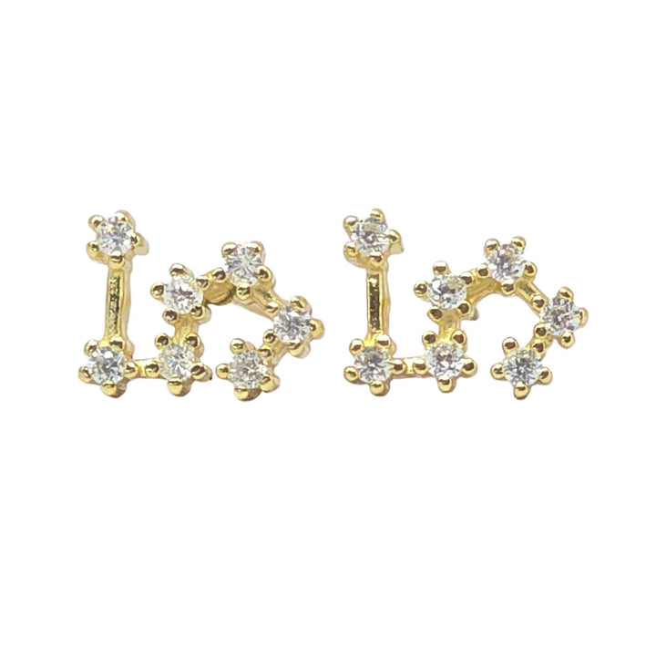 Leo Star Sign Constellation Astrology Tiny Earrings