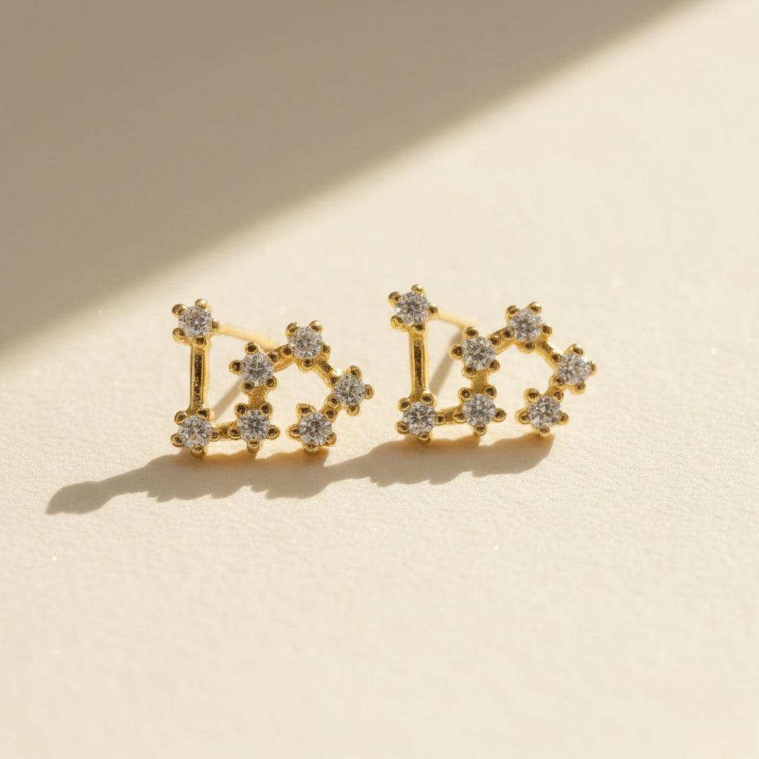 Leo Star Sign Constellation Astrology Tiny Earrings