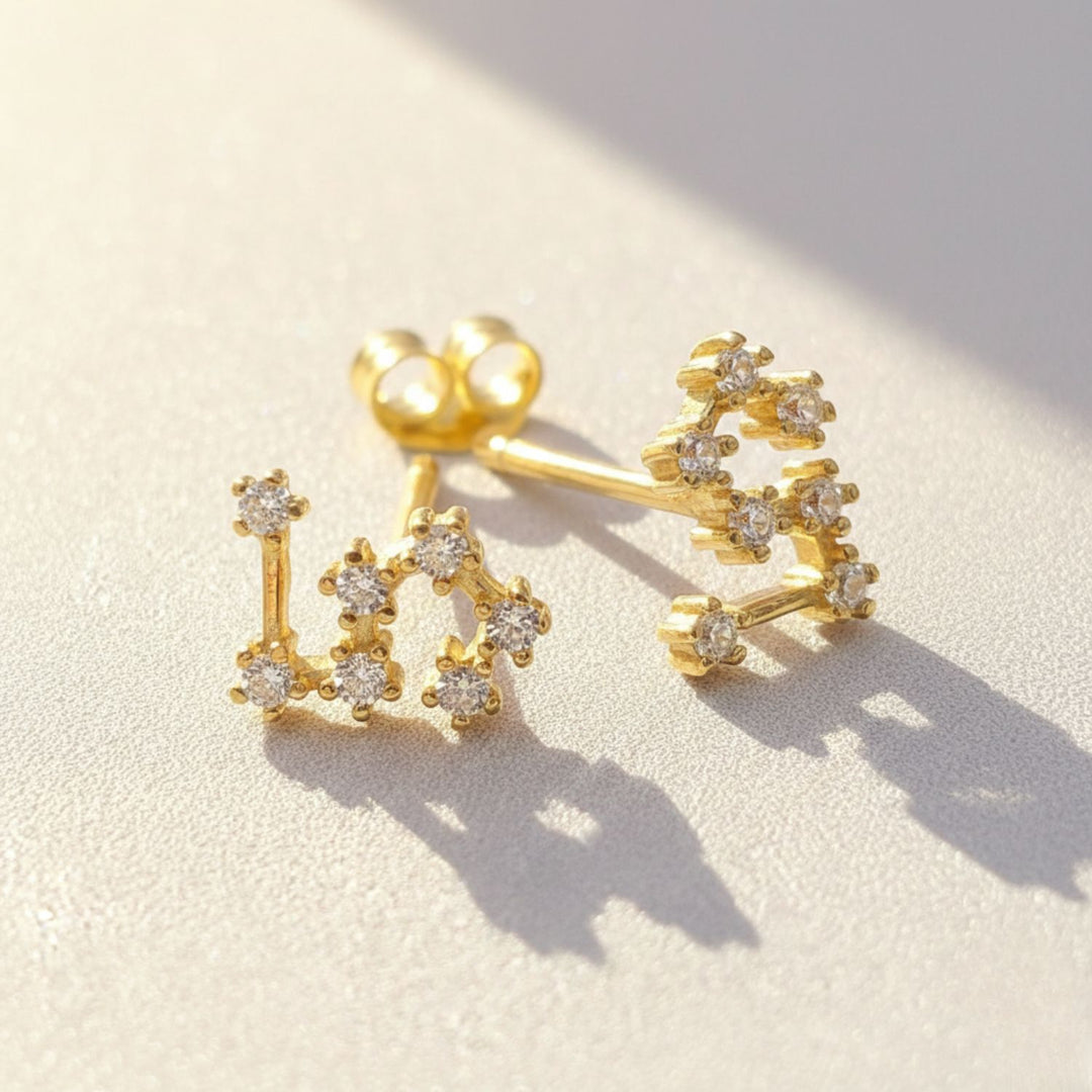 Leo Star Sign Constellation Astrology Tiny Earrings
