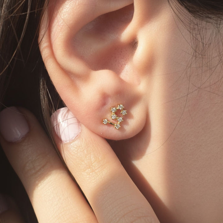 Leo Star Sign Constellation Astrology Tiny Earrings