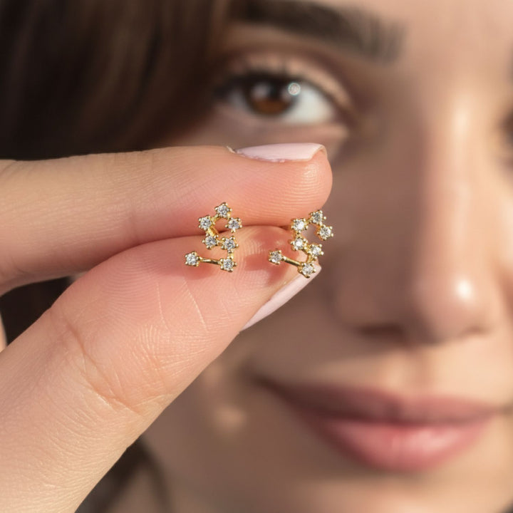 Leo Star Sign Constellation Astrology Tiny Earrings