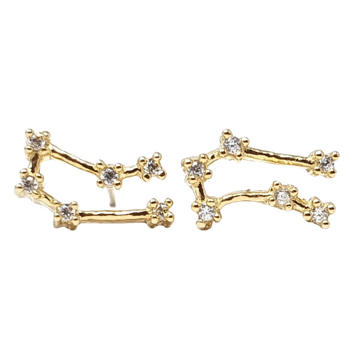 Gemini Star Sign Constellation Astrology Tiny Earrings