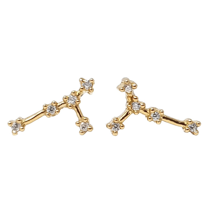 Cancer Star Sign Constellation Astrology Tiny Earrings