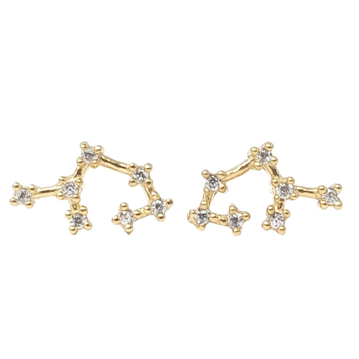 Sagittarius Star Sign Constellation Astrology Tiny Earrings