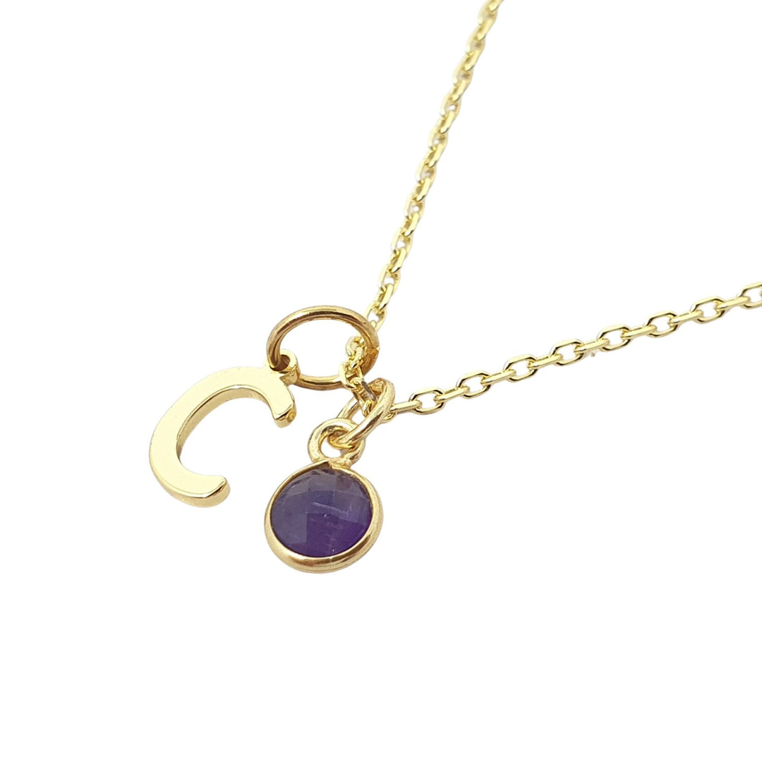 Mini Amethyst February Birthstone And Initial Gold Plated Necklace