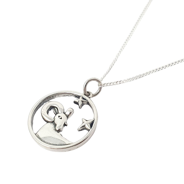 Aries Zodiac Horoscope Charm Sterling Silver Necklace