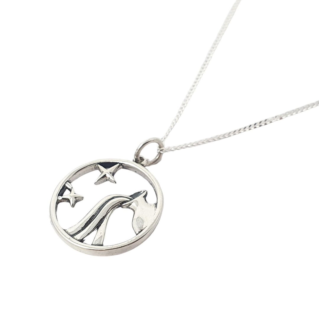 Aquarius Zodiac Horoscope Charm Silver Necklace