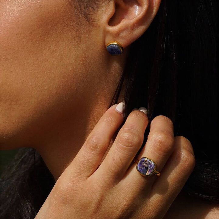 Amethyst February Birthstone Gold Vermeil Stud Earrings