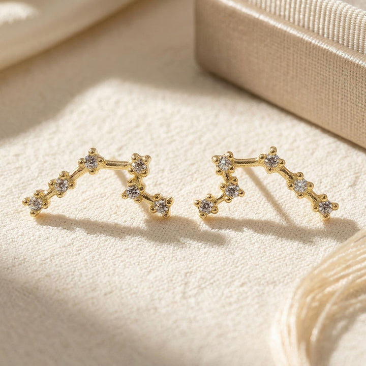 Aquarius Star Sign Constellation Astrology Zodiac Earrings