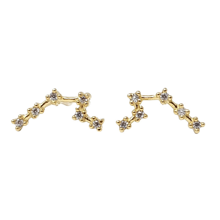 Aquarius Star Sign Constellation Astrology Earrings