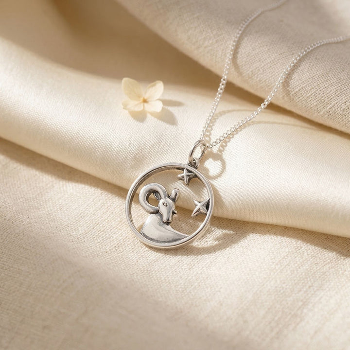 Aries Zodiac Horoscope Charm Sterling Silver Necklace