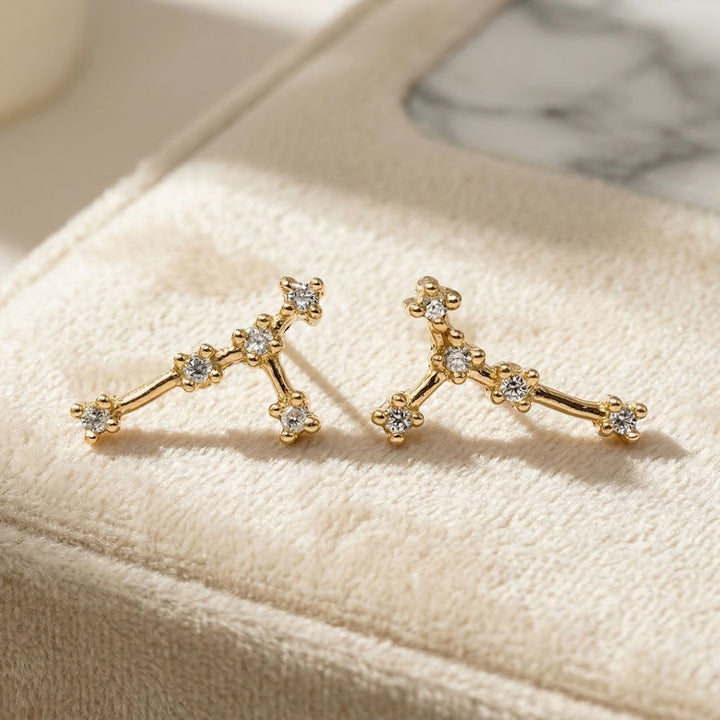 Cancer Star Sign Constellation Astrology Tiny Zodiac Earrings