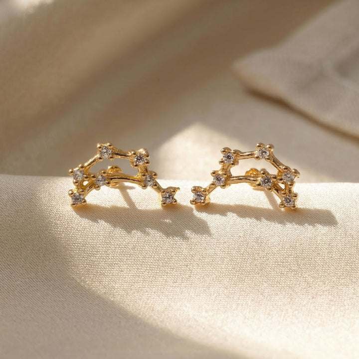Capricorn Star Sign Constellation Astrology Zodiac Earrings