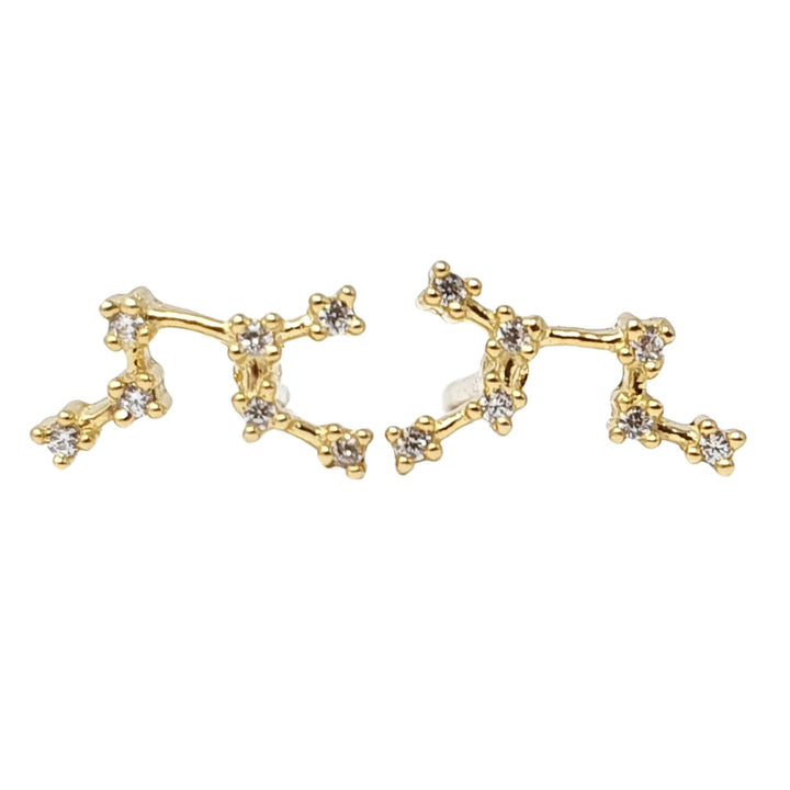 Leo Star Sign Constellation Astrology Tiny Earrings