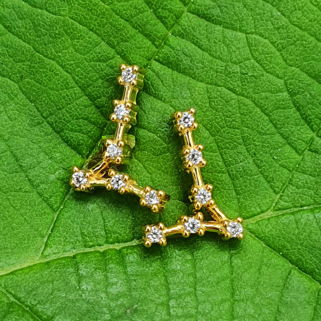 Pisces Star Sign Constellation Astrology Tiny Earrings