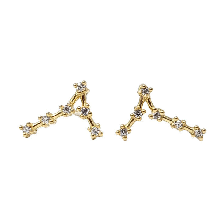 Pisces Star Sign Constellation Astrology Tiny Earrings