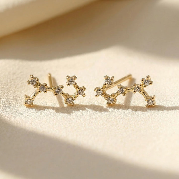 Scorpio Star Sign Constellation Astrology Tiny Zodiac Earrings